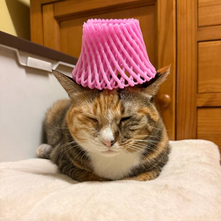 013c79e9 19c9 4caf 8676 65c29353838b 1764801804808