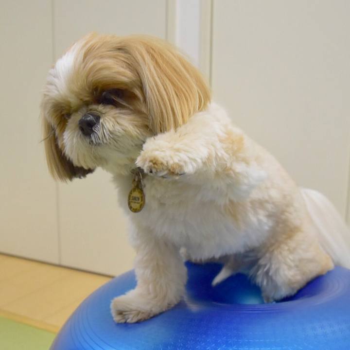 013c9fd2 79d0 4317 ba4c 482caa240aa8 1509658014931