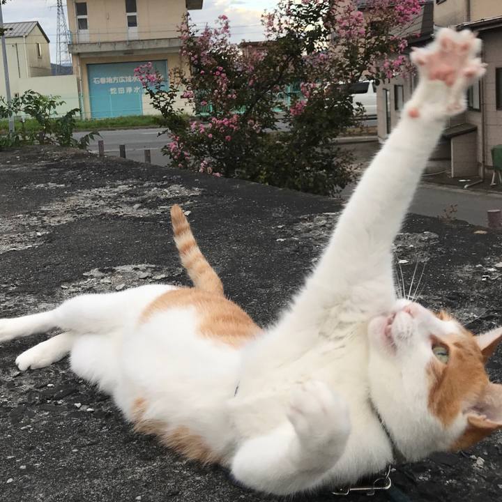 013ca289 95b5 481a b2ff 035df579e125 1538229002519