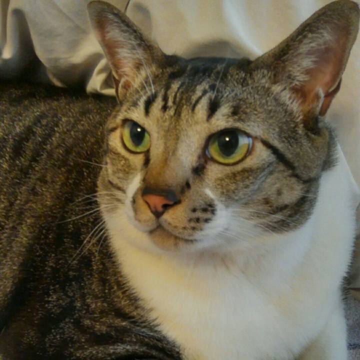 013cab13 e609 4c59 893e 31a8401761d5 1512087935962