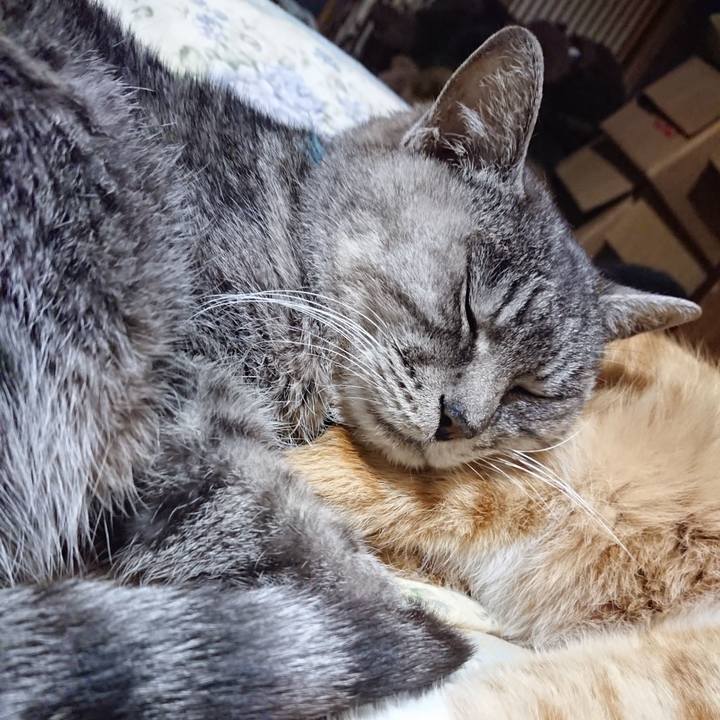 013d19df 009d 42e1 aef2 923c9db3a513 1575986136481