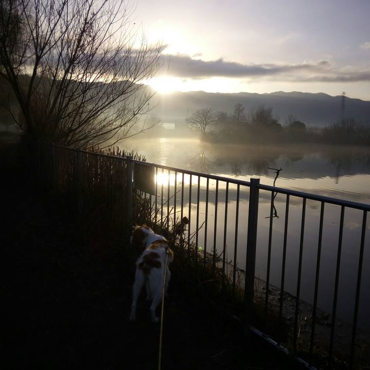 013d1f6a 15ec 4f17 ae9c 6abb124ffcc6 1516242575321