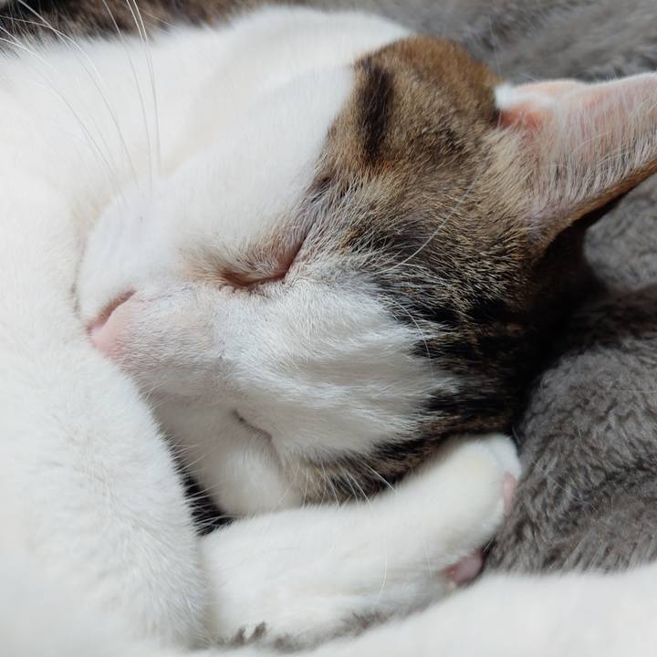 013d5579 e89d 44e6 bf7d 74ec7dcc86fa 1647781161165