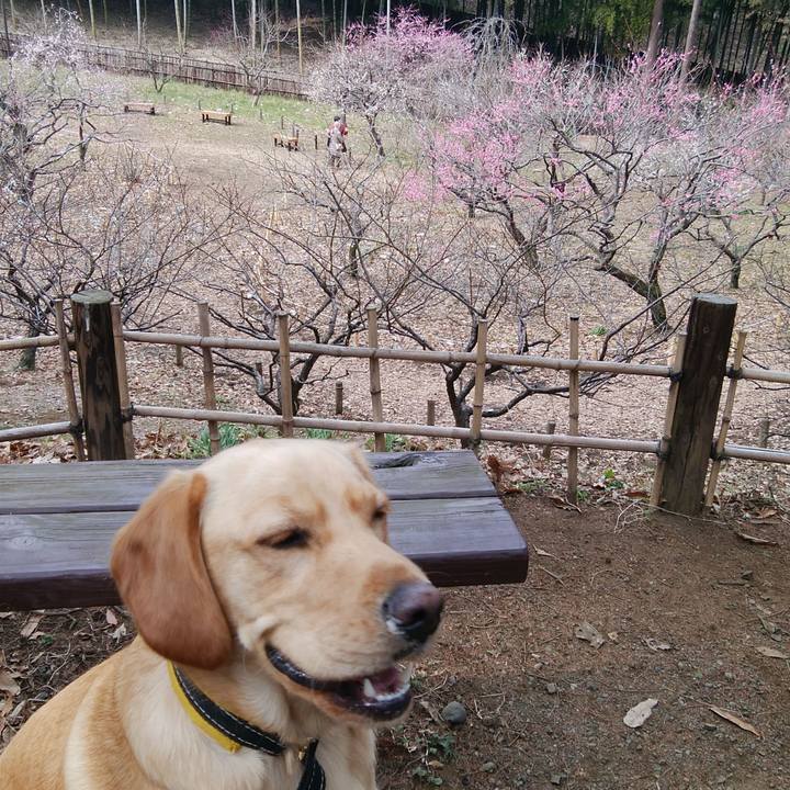 013d9f80 e1b7 4cfa a26b a1c12a97ddf0 1519541099051