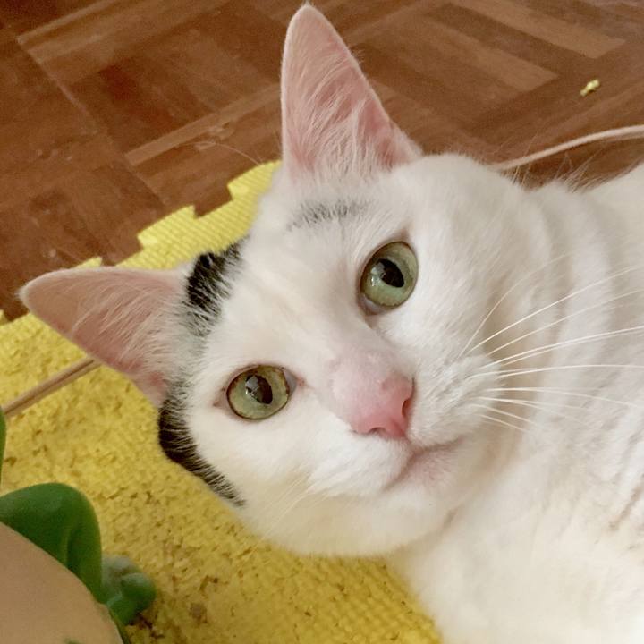 013db084 4aff 46f6 93fa 69c1354ee081 1564714523497