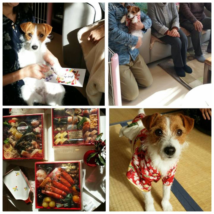 013dfac4 18d5 4195 aec2 359f9da10ed7 1514780035182