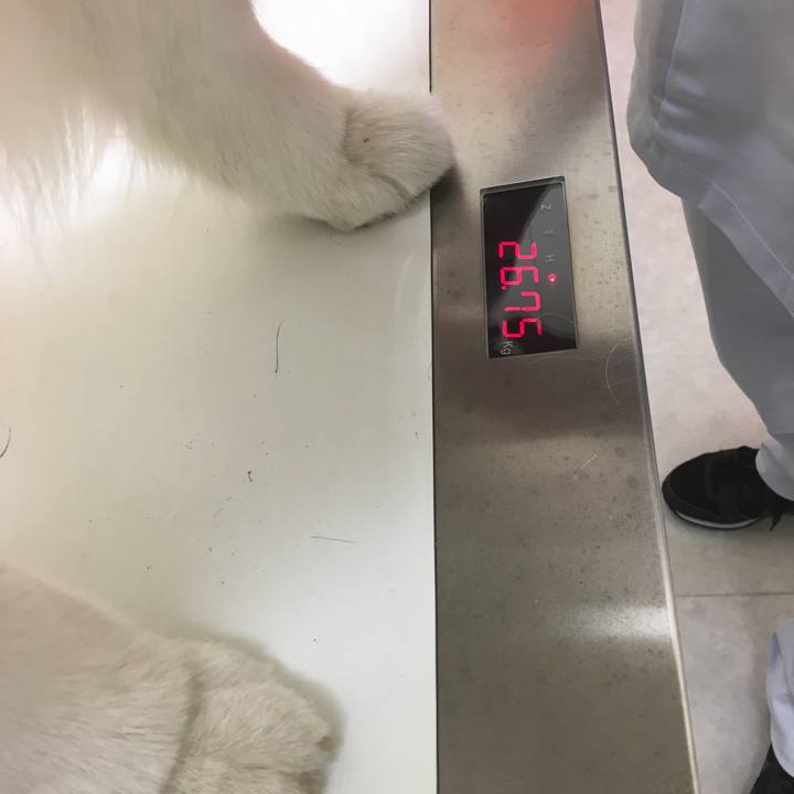 013e0d60 f337 4798 b714 fddf070fe479 1528713353539