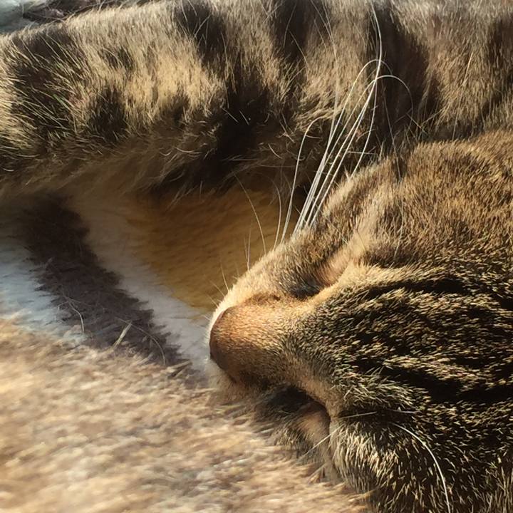 013e1727 ef1d 4368 86e2 4d0afb761eff 1549512371613