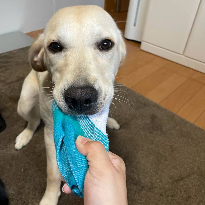 013e1be4 2f28 42fe 9396 6762945832c1 1623796439369