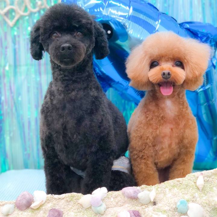 013e4120 d5ba 45ce 82a1 56f6fefd411c 1630321808296