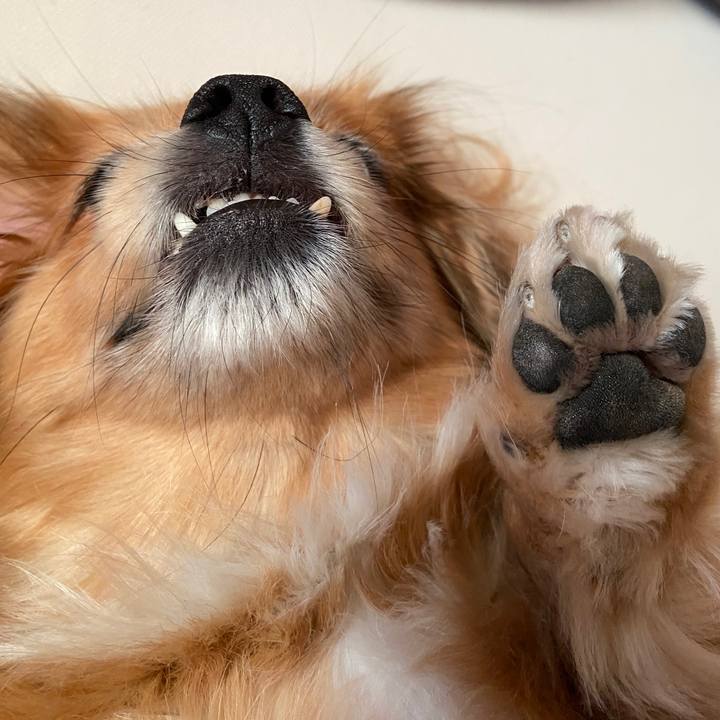 013e521f c295 4669 92c5 f9faf5188fdf 1667426025371