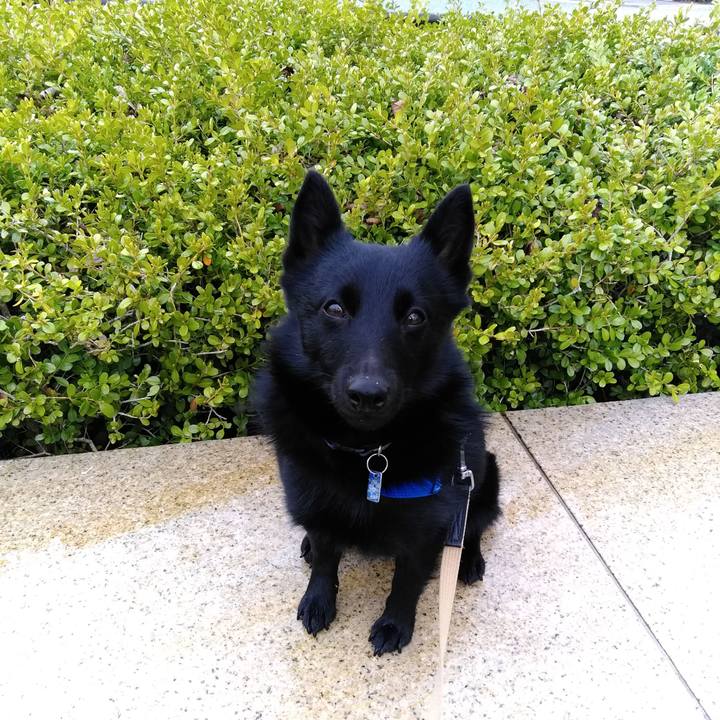 013e5b11 ecb9 4f27 8258 1ae8cf213982 1552784205632