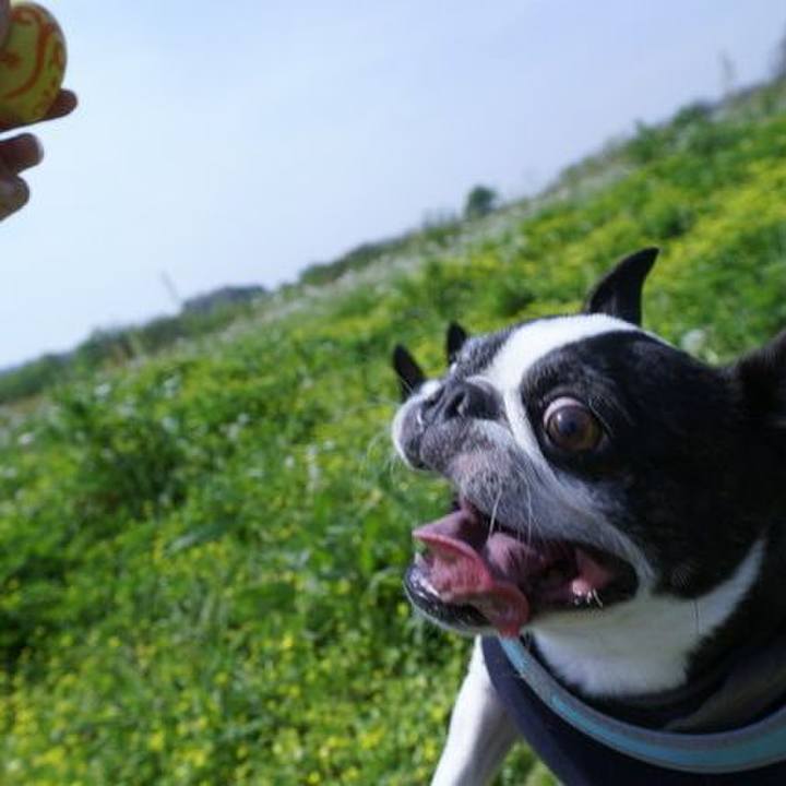 013e787a cc4d 44f4 85bd f2e30d1ccd99 1524374287010