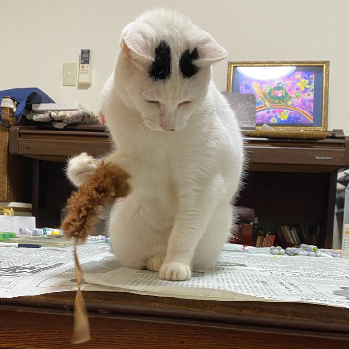 013e870e 94e9 4318 80cb b59a8f4d824c 1602500243016