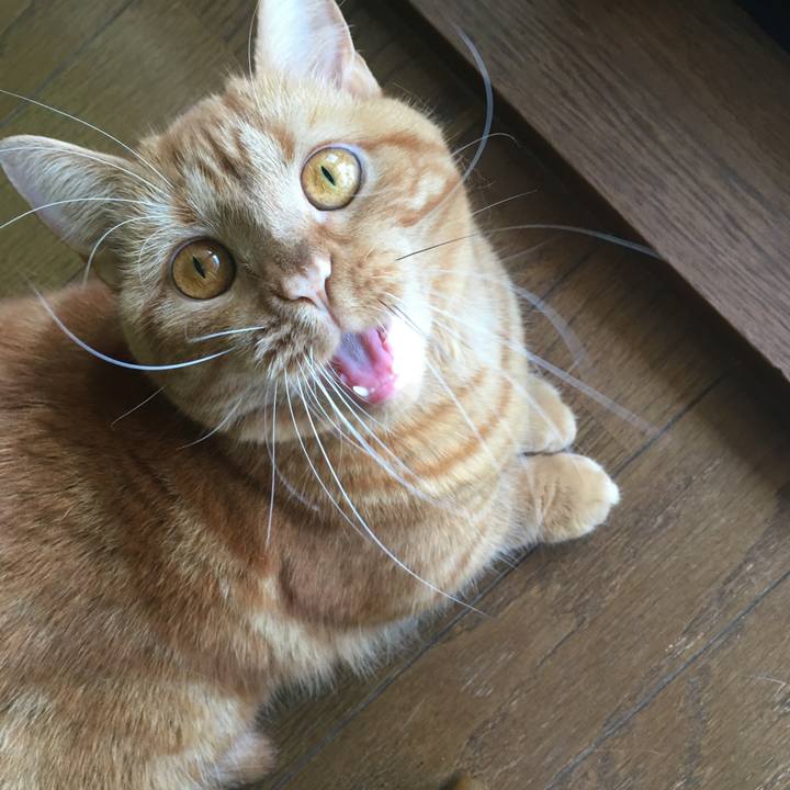 013e8e74 8032 4215 9eb9 e10dc420a0b1 1534470879772