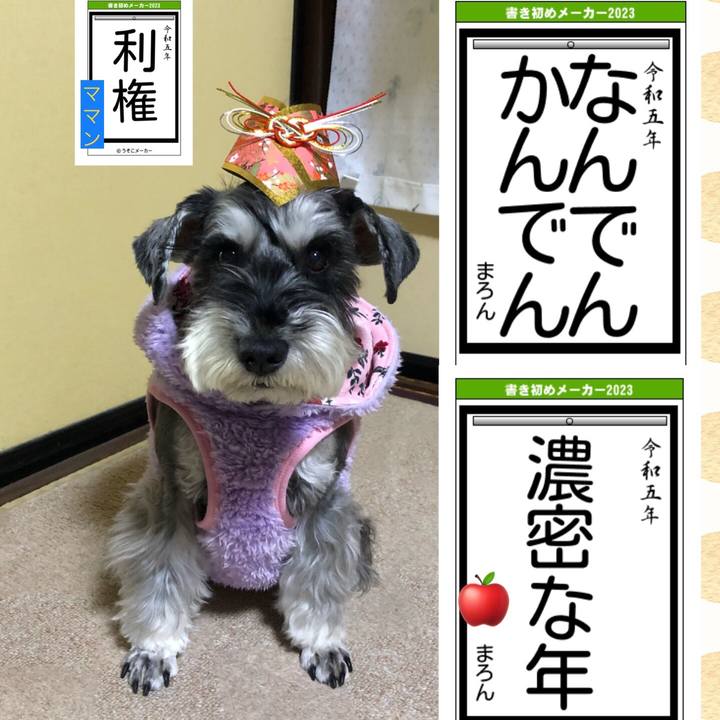 013eaad0 b0e5 466f b20e 66a91c8786d2 1672727529970