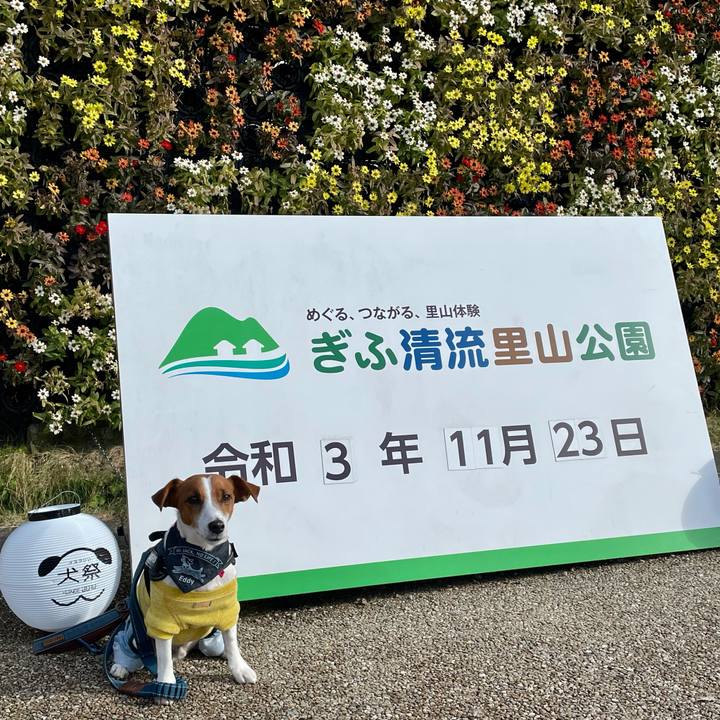 013ebbf9 418c 4f5a a670 75c75a81392d 1637667263823