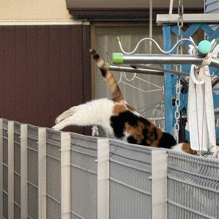 013ec0f5 a50b 4f4a bbfe 6bc03b50b873 1773538162733