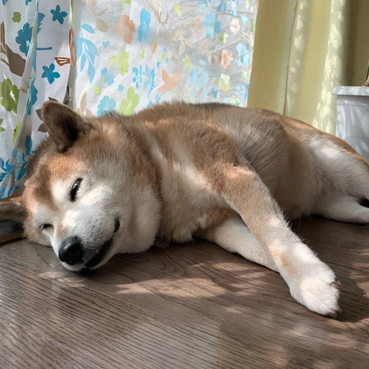 013ed479 4c62 4ca1 83ed c8529e4dd178 1583906288014