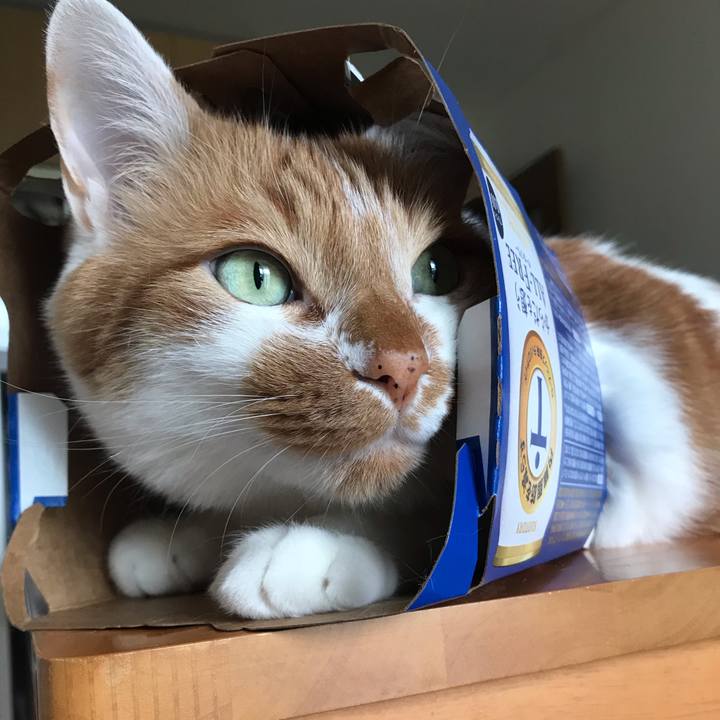 013ef6d3 f2e8 4ad0 b832 5e1499bf52fd 1590541769223