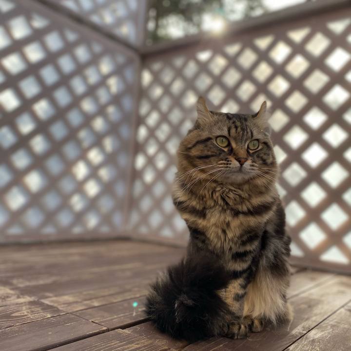 013f0e30 5cde 4928 a928 8a79322c6f43 1617168105484