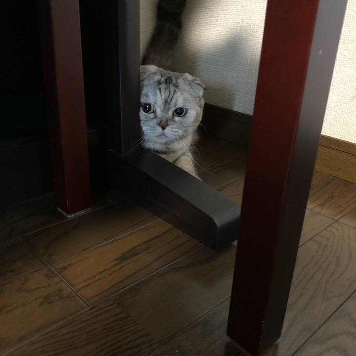 013f19ff 8abf 450d 8ce9 78d19bb3d02f 1599041710834