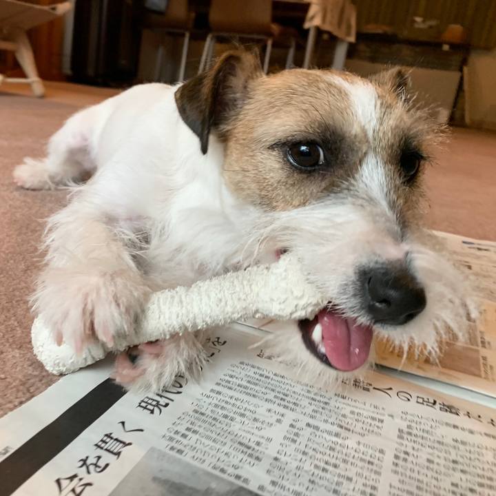 013f1ae9 5fc4 4eed bf4c 6478286205d1 1577670767607