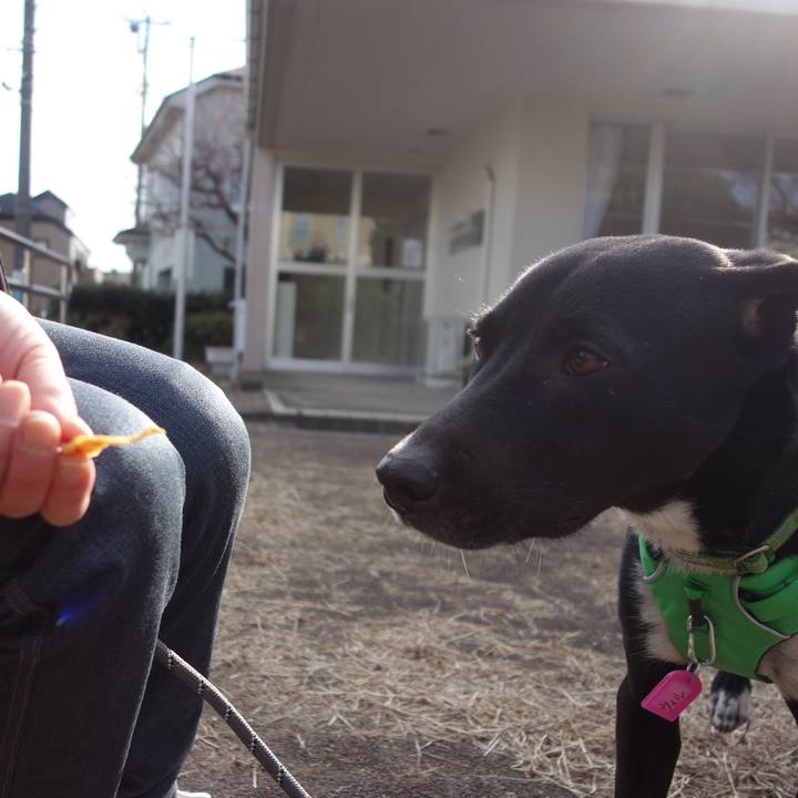 013f4ddf 4e72 4227 bfb1 58f793c287a2 1581686308578