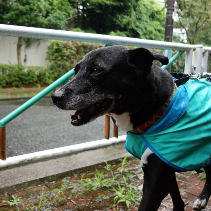 013f7f8c 796e 45a2 819a 6f0196d001fd 1719533850260