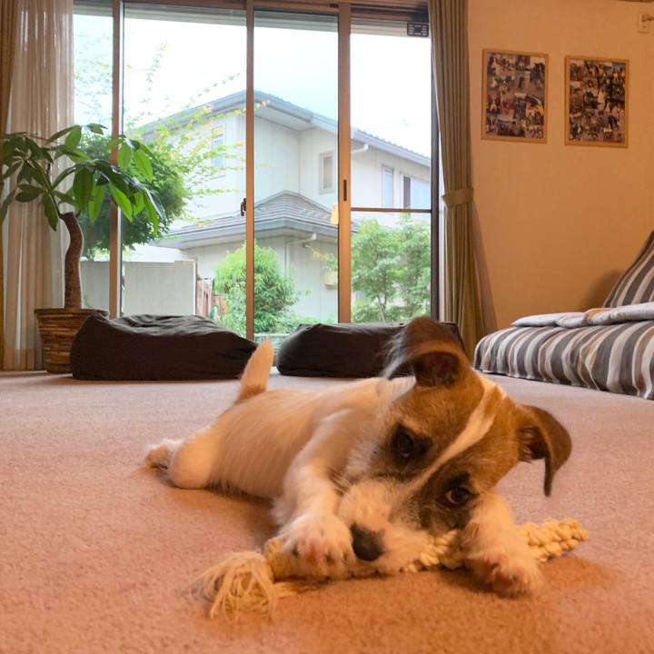 013f9c11 3c76 471f bb37 33b66a671ffc 1561281501475