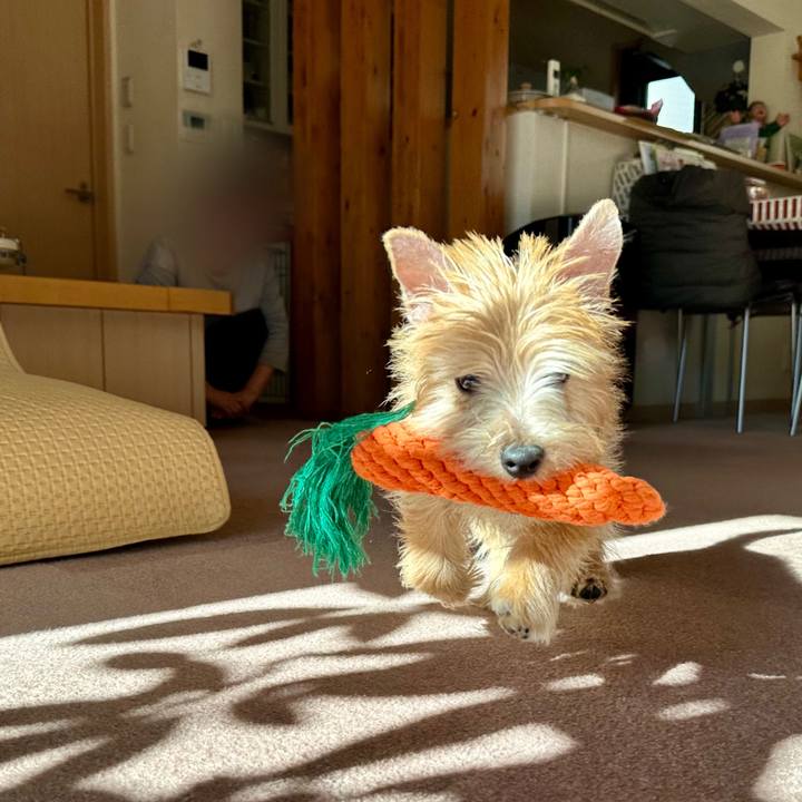 013fa397 d60d 464c a0bd fcaffc369394 1704380734267