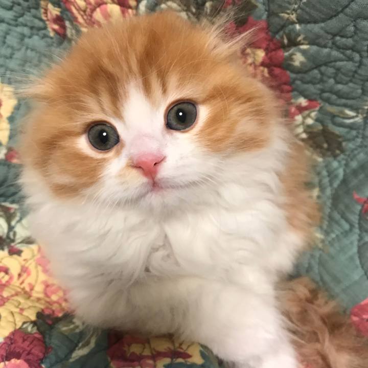 01400230 8fd1 4a83 8ea1 de520678b4fa 1516065483787