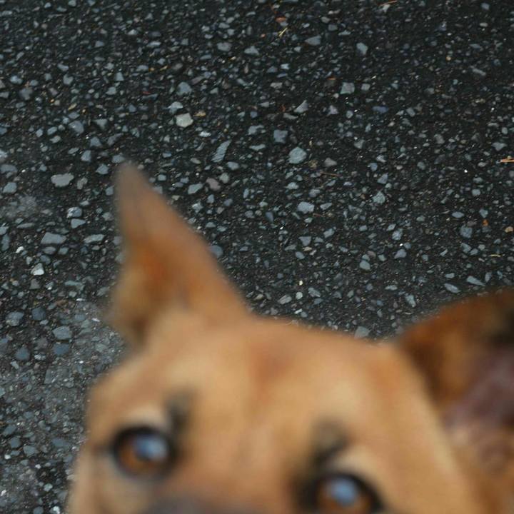 01405785 9265 4fed bad8 8ff253be5ca5 1544656231542