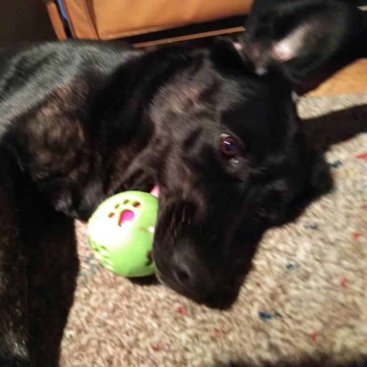 014062b5 8aa1 4686 b49f 3beacacb859d 1573821603307