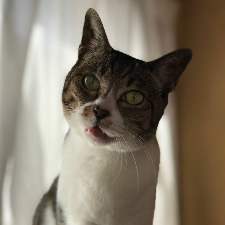 0140b974 de56 4727 8629 7dc138d1cfb6 1522458183490