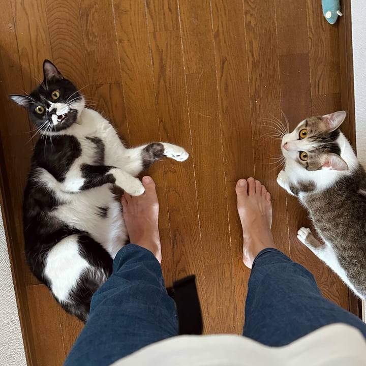 0140ca28 b5aa 4528 b035 9cb96c53e6b2 1757984048665