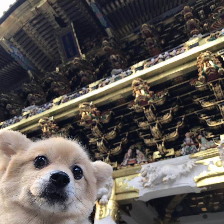 0140e1f4 b987 41d3 b4f8 e463f9e4e154 1573643131493