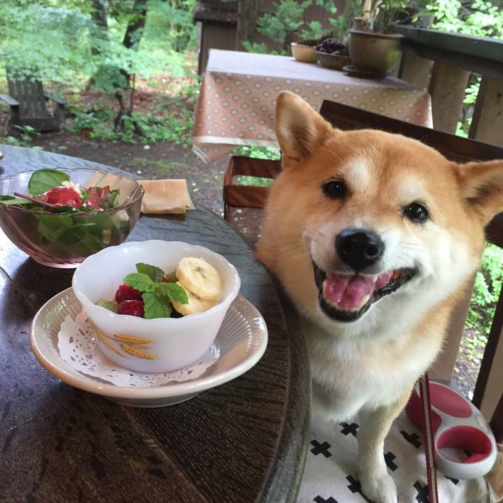 0140ec44 e5e0 47e5 812f e71fa68b64f3 1563715095642