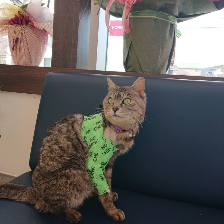 01410d90 9167 445b 9a19 4272451b25d9 1587018538143