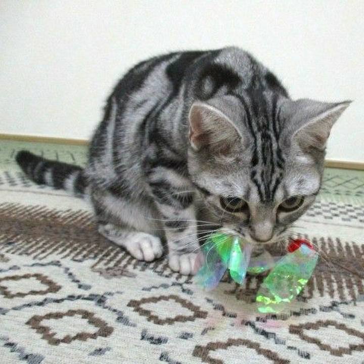 014114a4 2139 4b2c a8a4 af2cc153676a 1541238619281