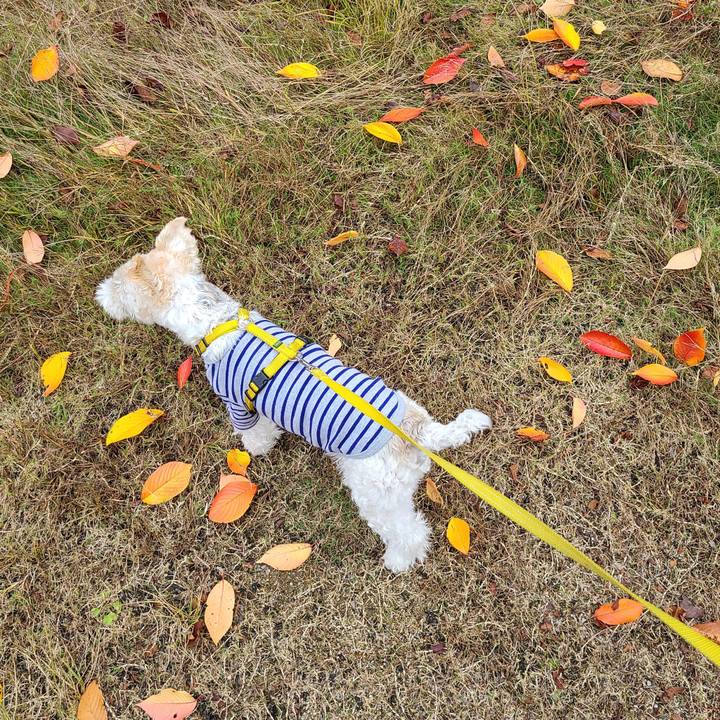 01413906 6f38 4781 bbaa 2b58f23fb0ba 1668953160189