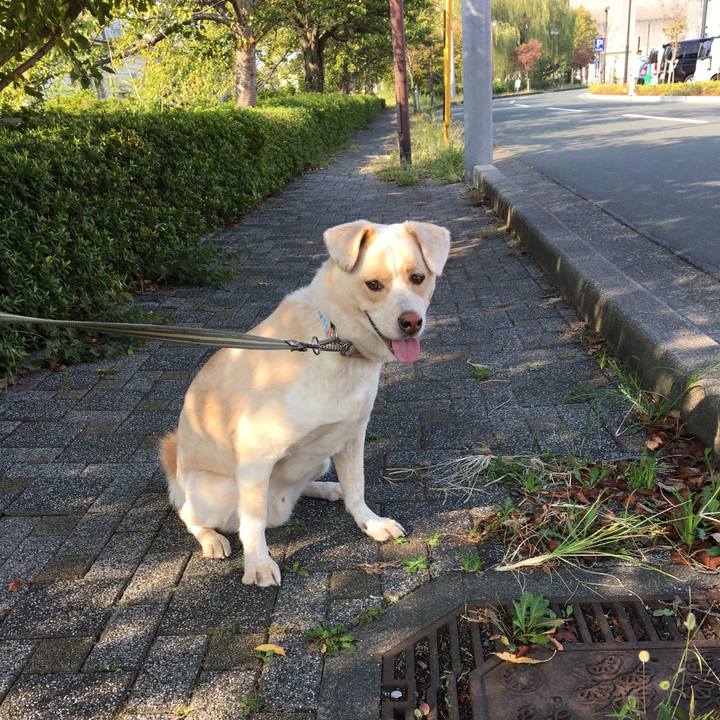 01413bf5 fe32 4027 8360 095b22220df9 1507769784345