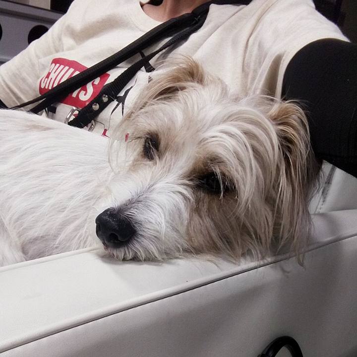 0141a64c c0b1 4ec1 b520 118e880a23fd 1559822893134