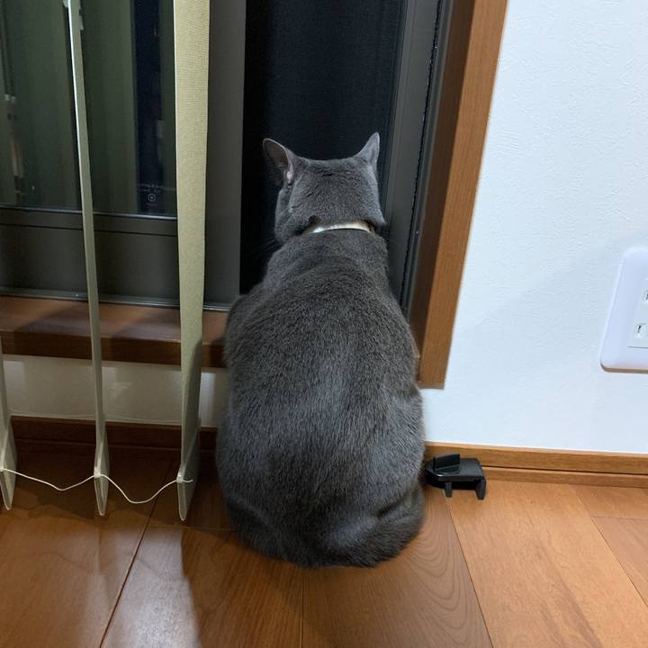 0141a872 b001 4424 b6cd 73e844a10163 1623508750954