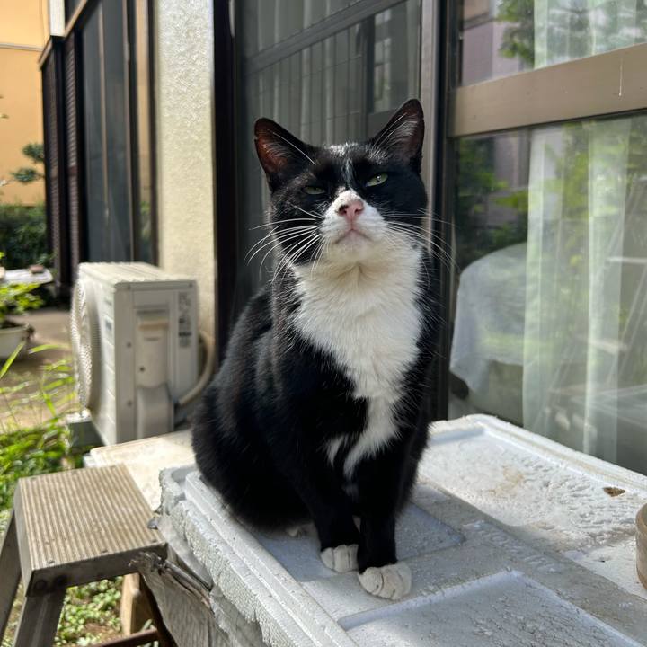 0141bd3b de50 4a96 87f0 278e88a73e50 1759795842832