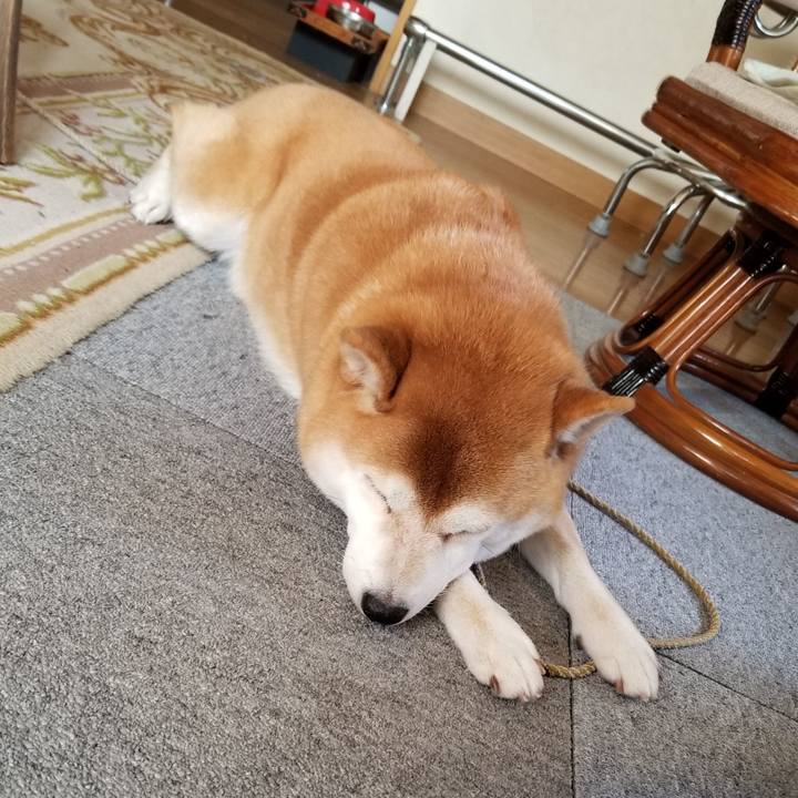 0141bf91 d3e6 4e0c a0be 36ff4b409c61 1574991103769