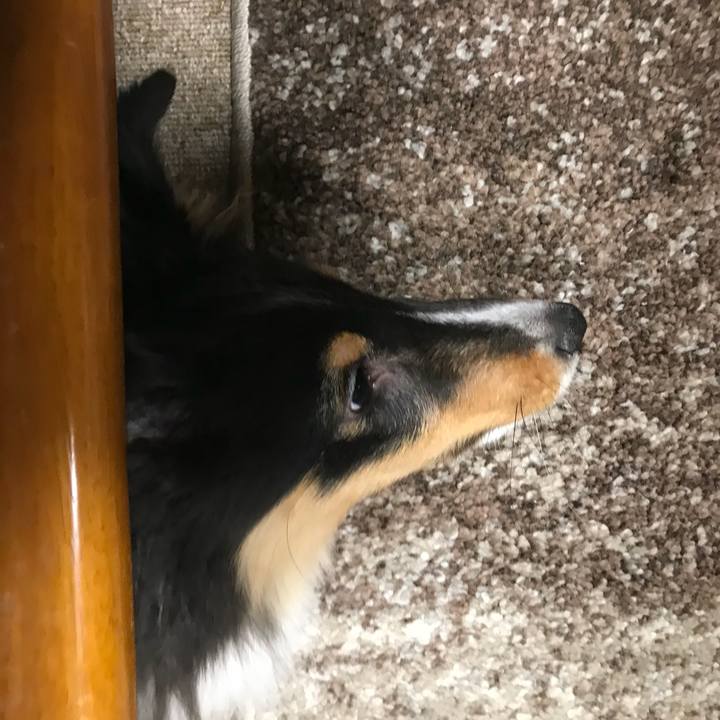 0141d051 4817 44dc 97b3 68c7b48f464c 1516019648523