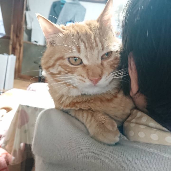 0141e7b9 bbed 4453 95e1 887801651974 1648108309164