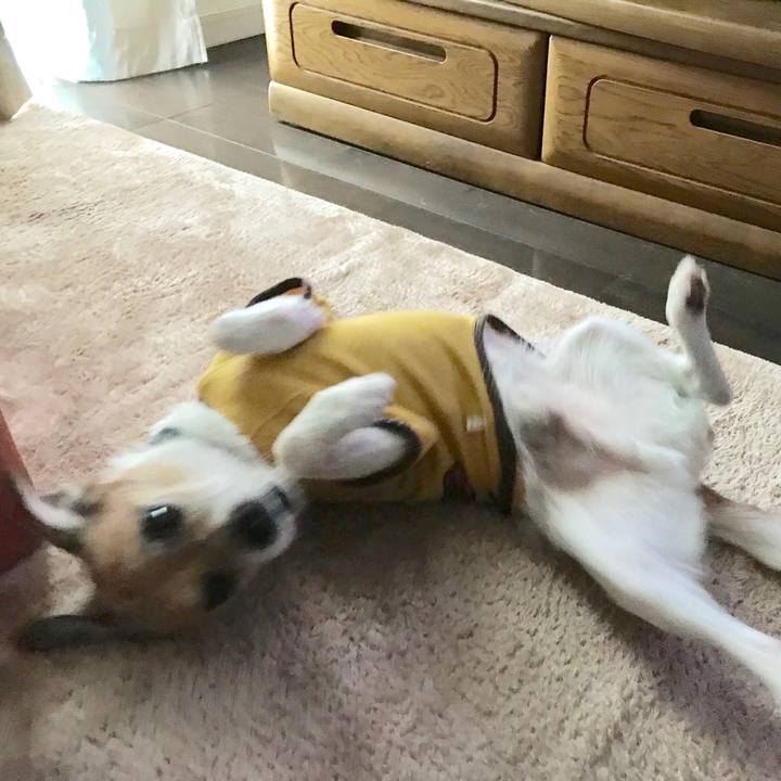 014226e5 5c60 4eb0 b416 b25c1c8b7d49 1562149205540