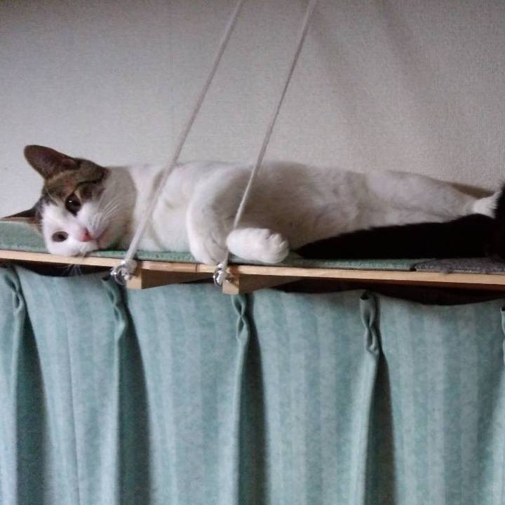 01423b33 1176 4f2c adf8 096d250c9f0c 1669992581639